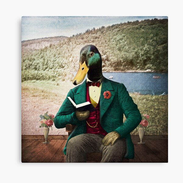 Monsieur Mallard Reading an Improving Book Canvas Print