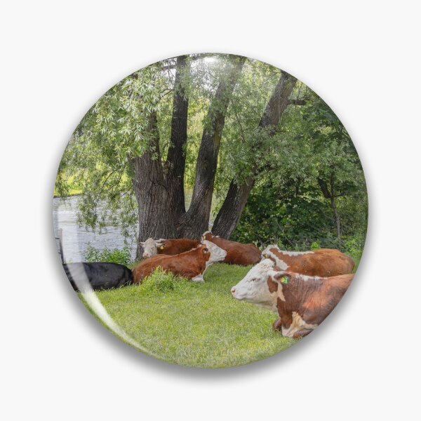 Item preview, UK. England. Cambridge. River. Cows. designed and sold by vadim19.
