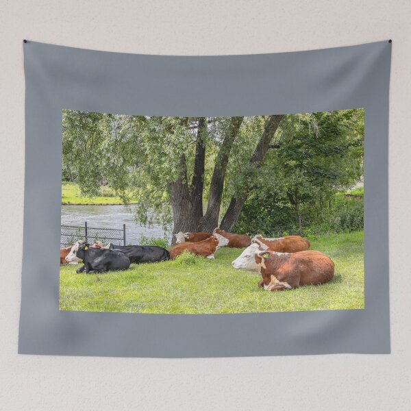 Item preview, UK. England. Cambridge. River. Cows. designed and sold by vadim19.