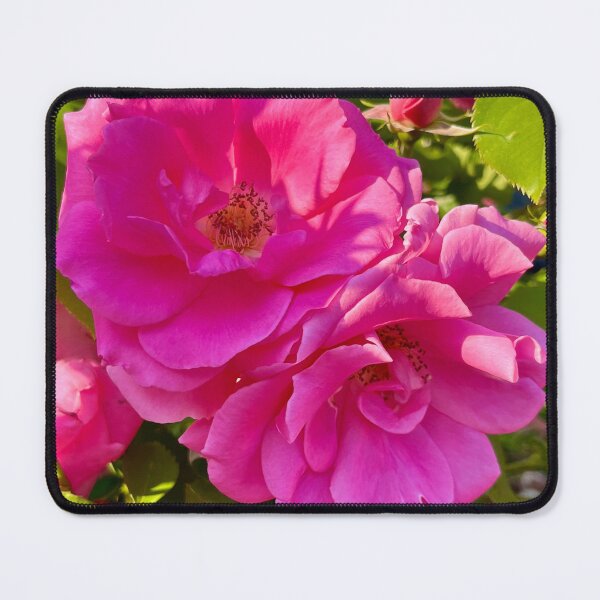 Item preview, Radiant Beauty Blooms designed and sold by Lana Magnolia.