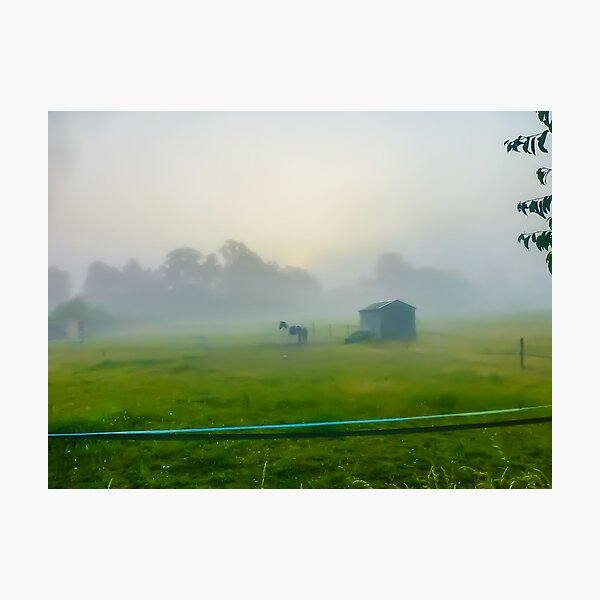 Item preview, Horse at Misty Paddocks  designed and sold by asenna67.