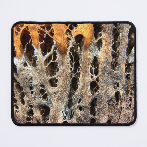 Item preview,  Beauty After Death designed and sold by Larry Davis.