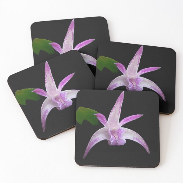 Item preview, Five Petals with lots of Perfume designed and sold by Larry Davis.