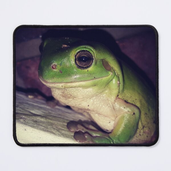 Item preview, Mr. Froggy designed and sold by TheOneEyed-Cat.