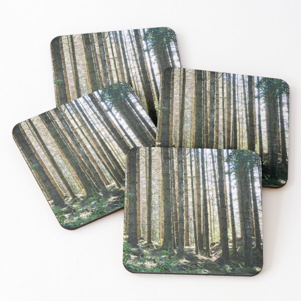 Item preview, Glencoe Forest designed and sold by Claire Walsh.
