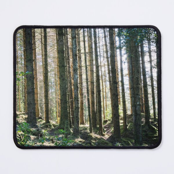 Item preview, Glencoe Forest designed and sold by Claire Walsh.