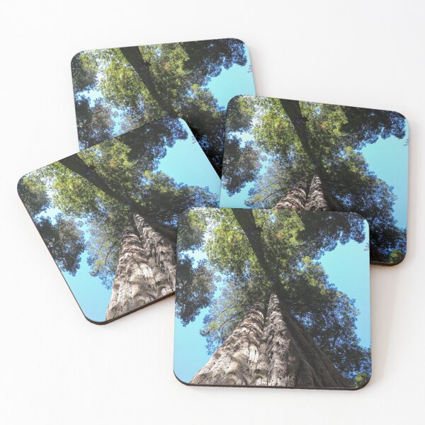 Item preview, Petrified Tree in Jedediah Smith Redwoods State Park designed and sold by Michael Worley.