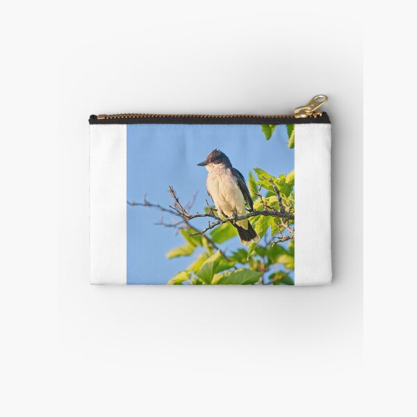 Item preview, Eastern Kingbird, UW Arboretum, Madison, WI designed and sold by StevenRalserPhoto.