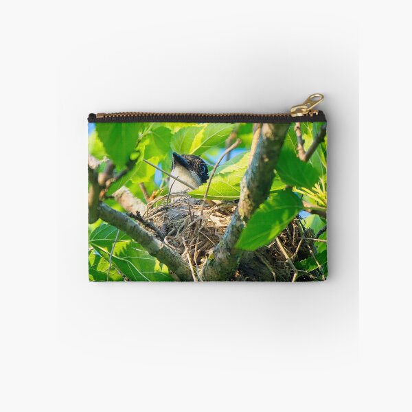 Item preview, Eastern Kingbird on Nest, UW Arboretum, Madison, WI designed and sold by StevenRalserPhoto.