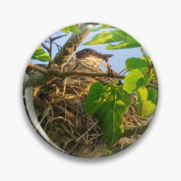 Item preview, Eastern Kingbird on Nest, UW Arboretum, Madison, WI 2 designed and sold by StevenRalserPhoto.