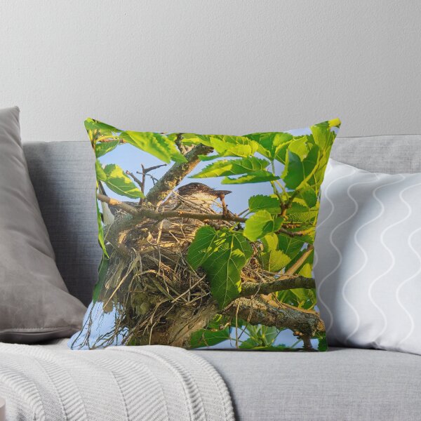 Item preview, Eastern Kingbird on Nest, UW Arboretum, Madison, WI 2 designed and sold by StevenRalserPhoto.