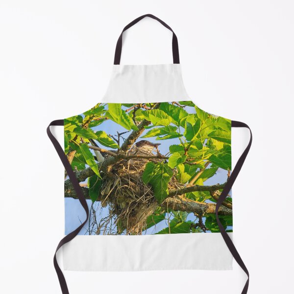 Item preview, Eastern Kingbird on Nest, UW Arboretum, Madison, WI 2 designed and sold by StevenRalserPhoto.