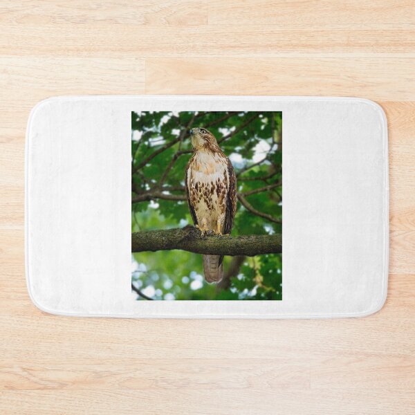 Item preview, Red tailed hawk, Madison, WI designed and sold by StevenRalserPhoto.