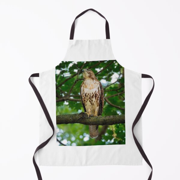 Item preview, Red tailed hawk, Madison, WI designed and sold by StevenRalserPhoto.