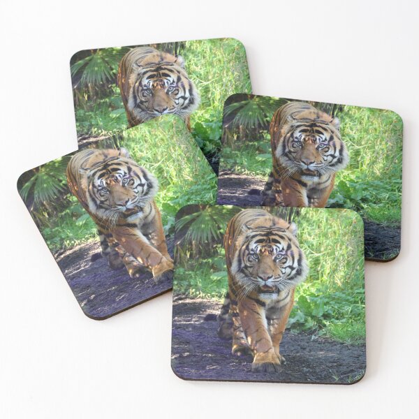 Item preview, Eye Contact - Sumatran Tiger designed and sold by LeanneAllen.