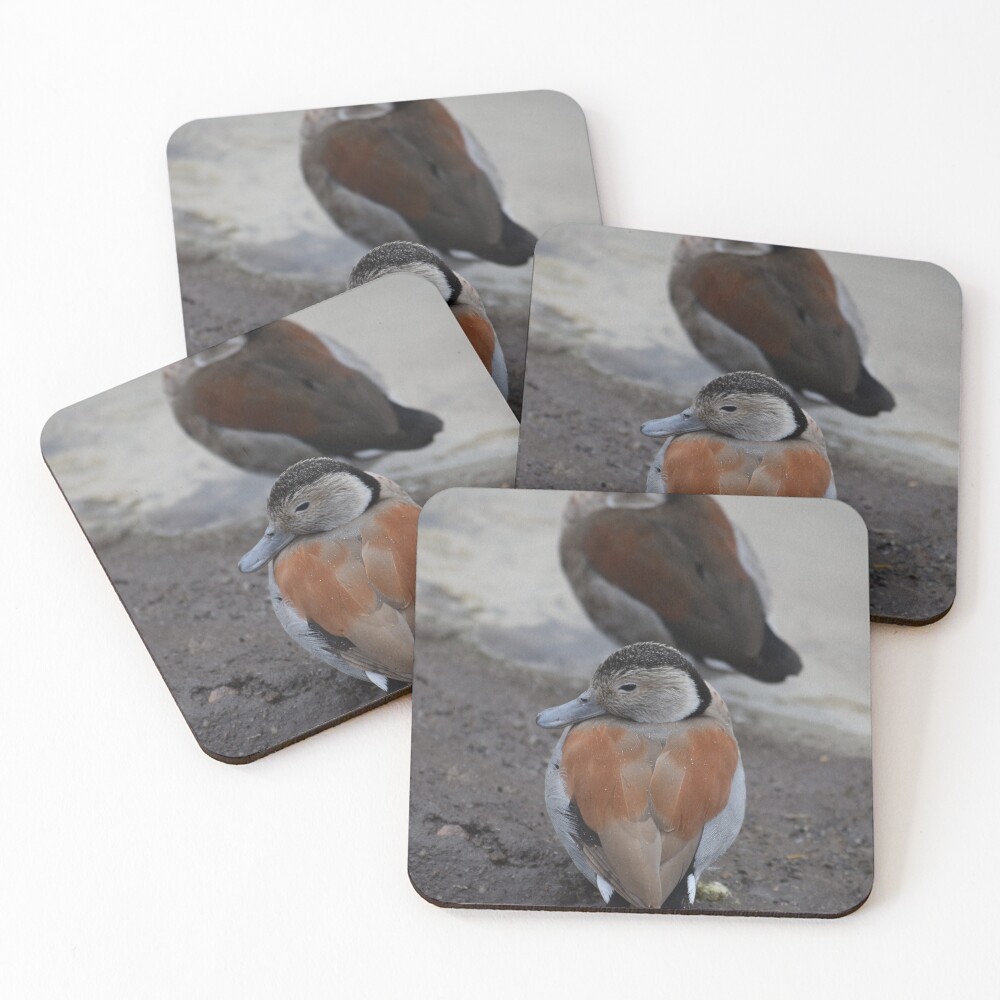 Item preview, Coasters (Set of 4) designed and sold by Reriginal.