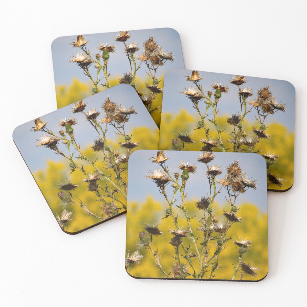 Item preview, Coasters (Set of 4) designed and sold by Reriginal.