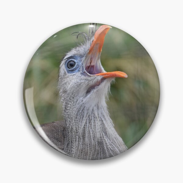 Item preview, Screamer designed and sold by Tracy Engle.