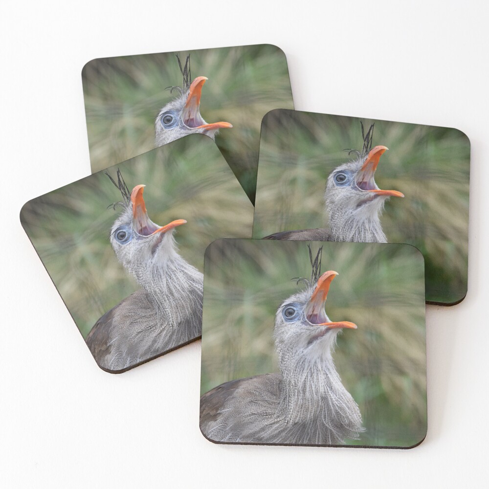 Item preview, Coasters (Set of 4) designed and sold by Reriginal.