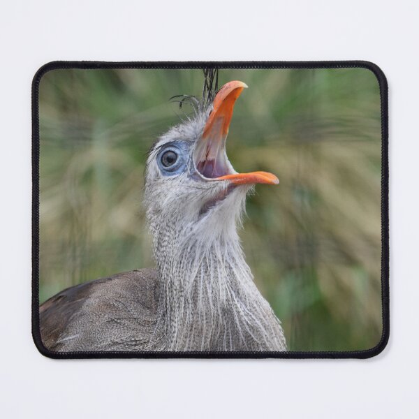 Item preview, Screamer designed and sold by Tracy Engle.