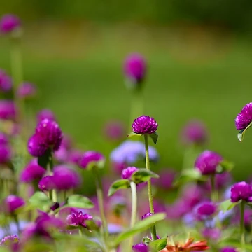 Artwork thumbnail, Refreshing Spring by Tracy Engle