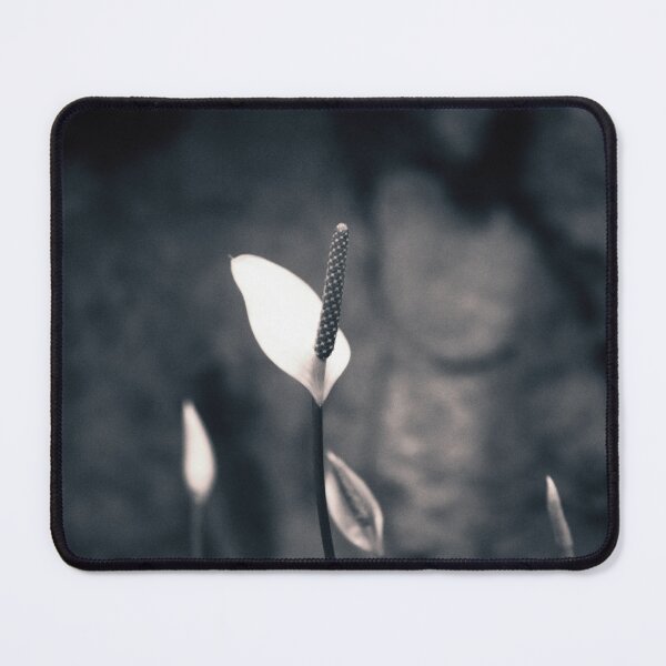 Item preview, Quietude designed and sold by Tracy Engle.