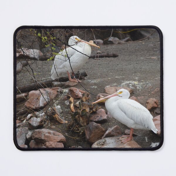 Item preview, Pelican Duo designed and sold by Tracy Engle.