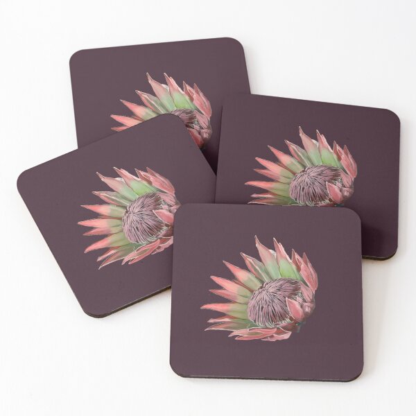 Aperçu de l'œuvre Protea Fleur indigène australienne créée et vendue par kel72.