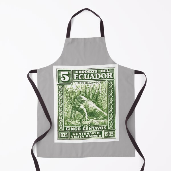 Item preview, 1935 Ecuador Galapagos Iguana Postage Stamp designed and sold by retrographics.