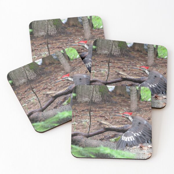 Item preview, Pecker of Woods designed and sold by AMarion418.