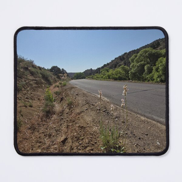 Item preview, Desert Light & Canyon Vibes designed and sold by Betsy Phillips.