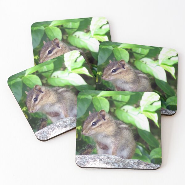 Item preview, Little Chipmunk designed and sold by AMarion418.