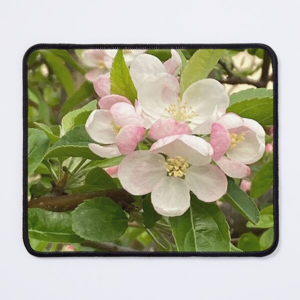 Item preview, Apple Blossom designed and sold by Laura-Rosa.