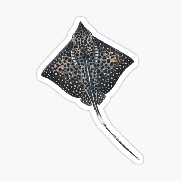 Item preview, Spotted Eagle Ray designed and sold by 4rtistcDrift.
