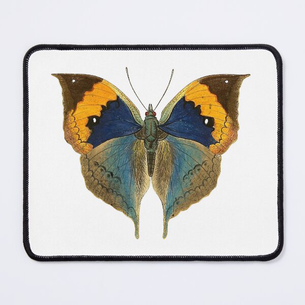 Item preview, Beautiful Multi Color Butterfly designed and sold by njaro.