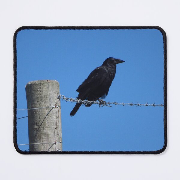 Item preview, Black Crow designed and sold by wiggyofipswich.
