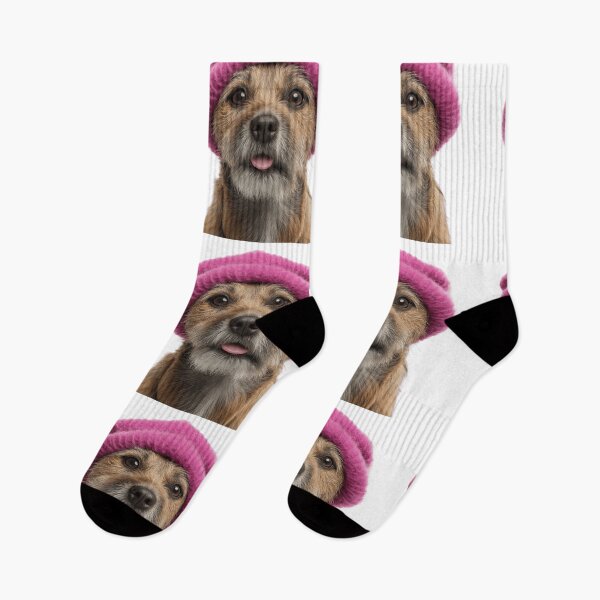 Item preview, Cozy Border Terrier dog Wearing Pink Winter Hat Trendy Animal Fashion Artwork designed and sold by LazyOwlStore.