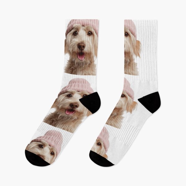 Item preview, Cozy Dandie Dinmont Terrier dog Wearing Pink Winter Hat Trendy Animal Fashion Artwork designed and sold by LazyOwlStore.