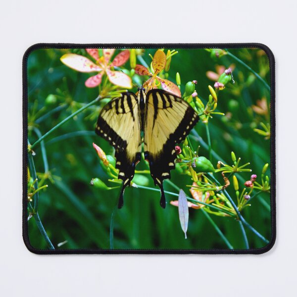 Item preview, Butterfly designed and sold by MercerImages.