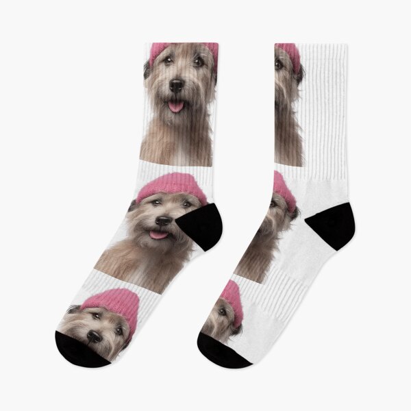 Item preview, Cozy Glen of Imaal Terrier dog Wearing Pink Winter Hat Trendy Animal Fashion Artwork designed and sold by LazyOwlStore.