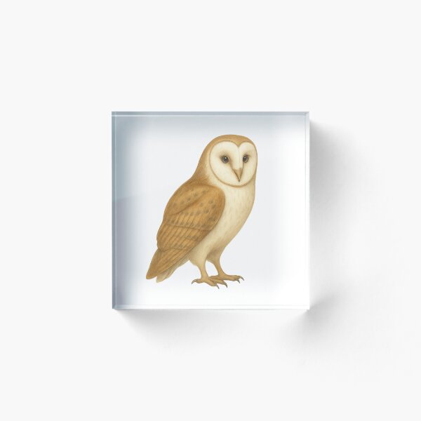 Item preview, Mrs Owl designed and sold by Thale's Designs.