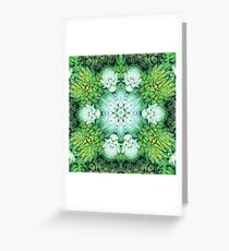 Green Succulent Mandala Greeting Card