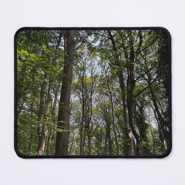 Item preview, long tall green trees designed and sold by Colourful Wonderful.