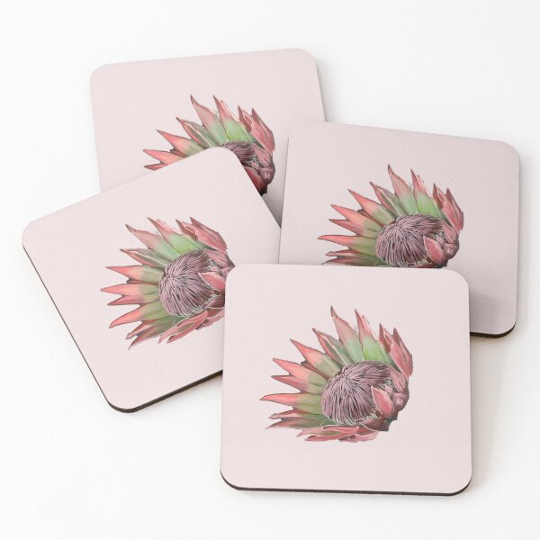 Aperçu de l'œuvre Protea Fleur indigène australienne créée et vendue par kel72.