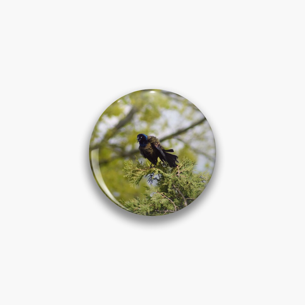 Item preview, Pin designed and sold by RPoli3.