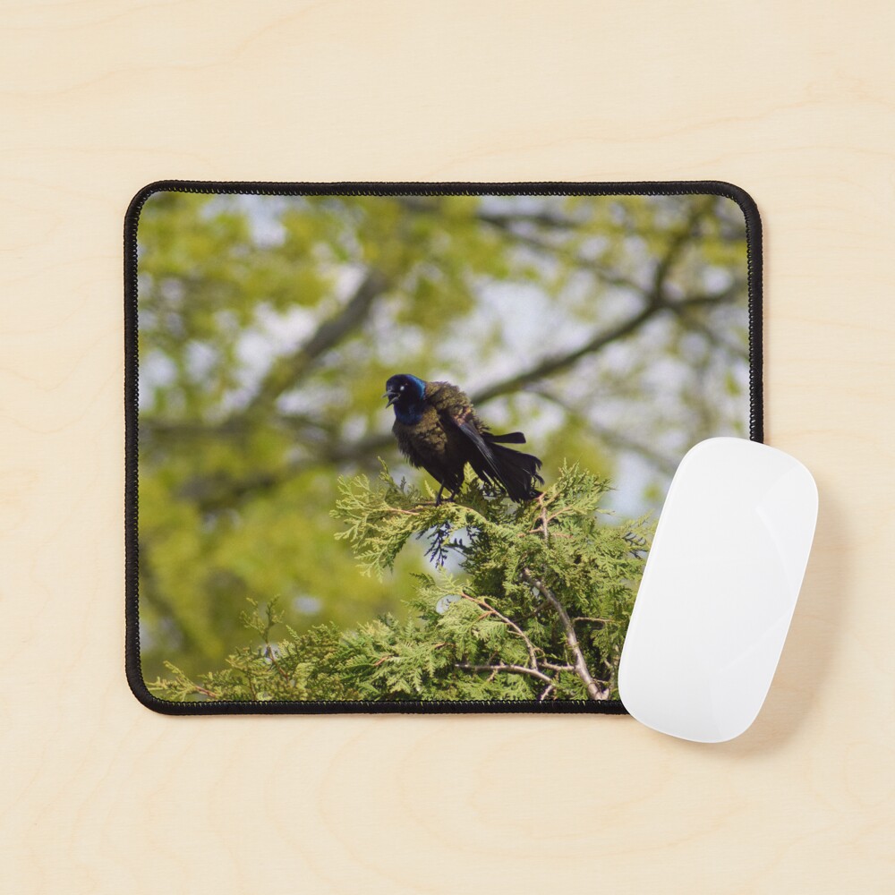 Item preview, Mouse Pad designed and sold by RPoli3.