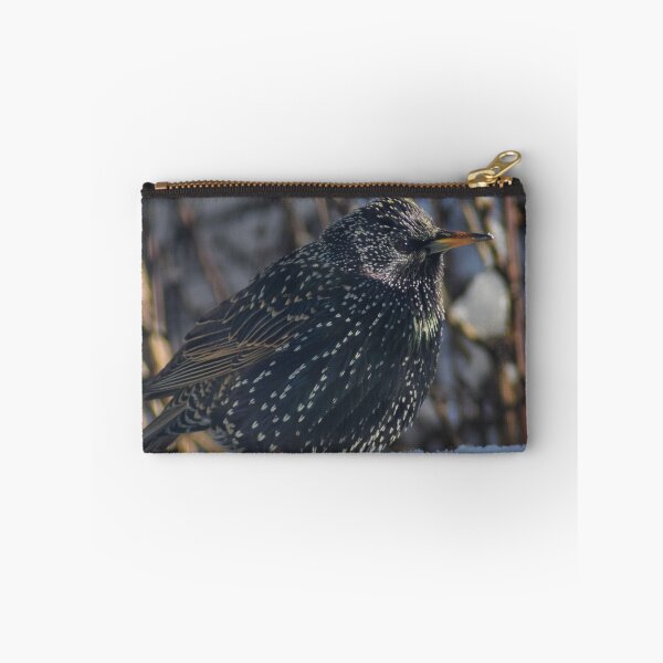 Item preview, European Starling designed and sold by RPoli3.