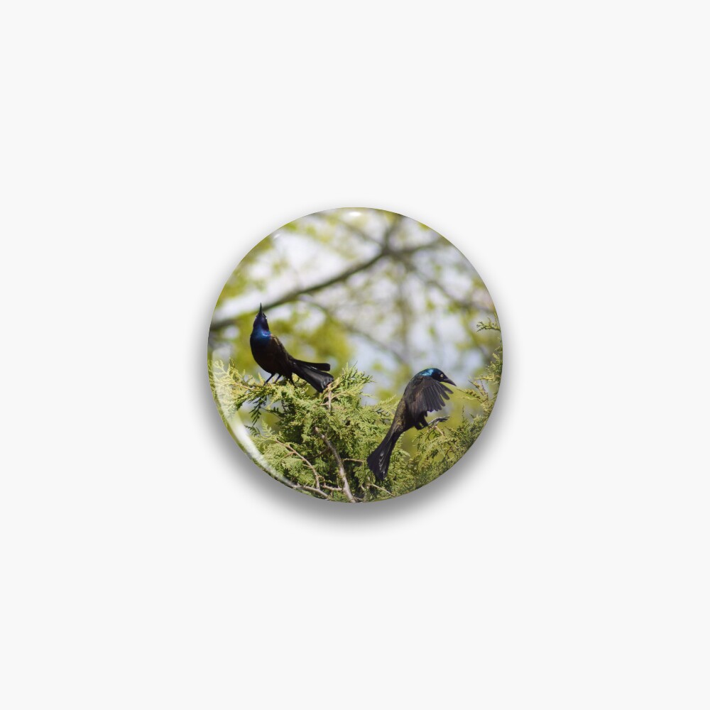 Item preview, Pin designed and sold by RPoli3.