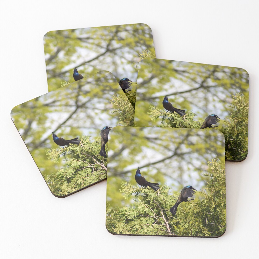Item preview, Coasters (Set of 4) designed and sold by RPoli3.