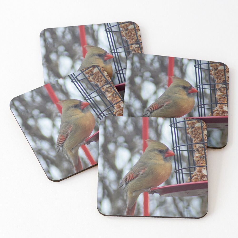 Item preview, Coasters (Set of 4) designed and sold by RPoli3.